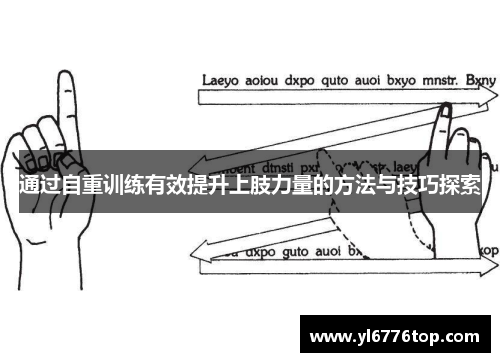 通过自重训练有效提升上肢力量的方法与技巧探索