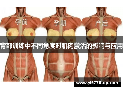 背部训练中不同角度对肌肉激活的影响与应用