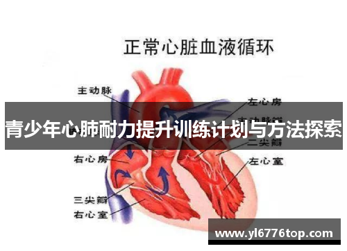 青少年心肺耐力提升训练计划与方法探索